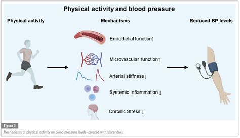 Blood Pressure Activity Level