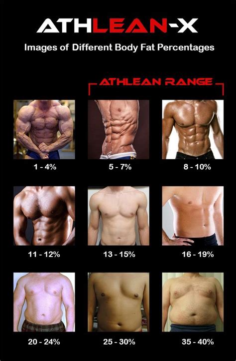 Body Fat Percentage