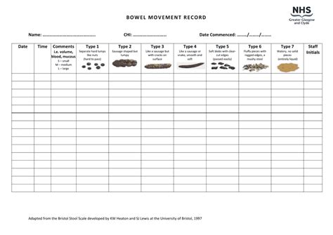 Bowel Movement Record Chart Template Design