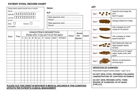 Bowel Movement Record Chart Template Design Example 9