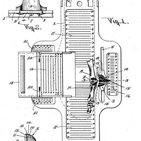 Brannock Device Template