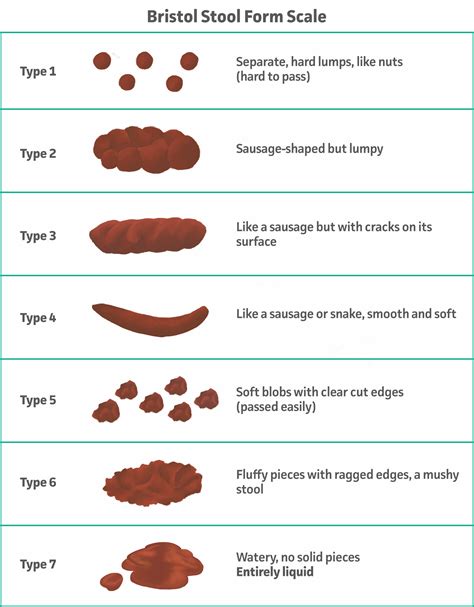 Bristol Stool Chart Printable Guide And Pdf Download