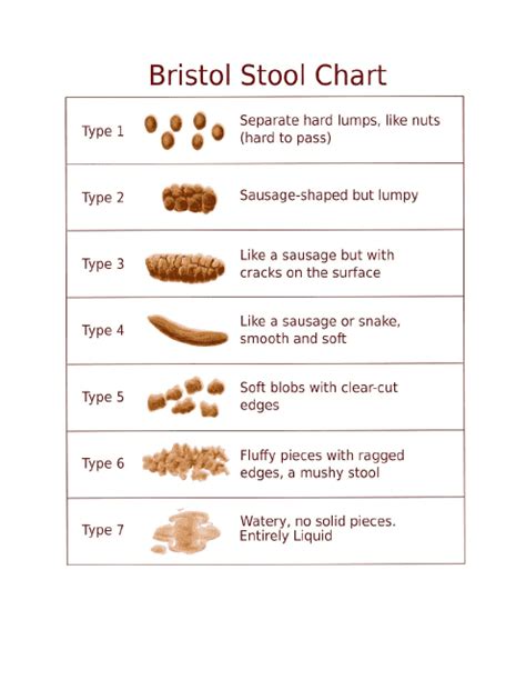 Bristol Stool Chart PDF Download