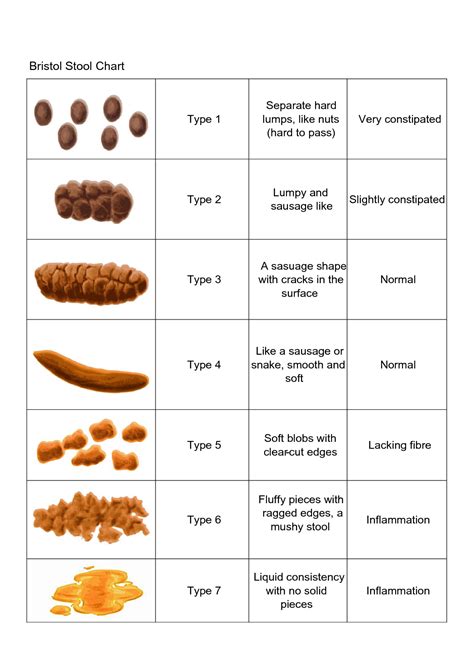 Bristol Stool Chart Type 6