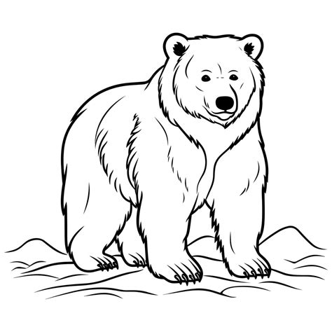 Brown Bear Coloring Pages for Kids