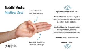 Buddhi Mudra, the mudra of mental clarity