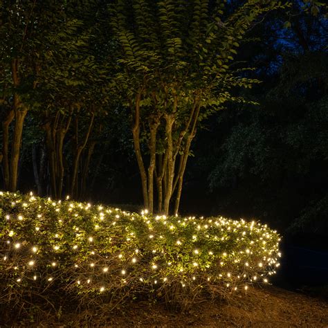 C9 LED Net Lights on Bushes