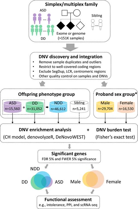 Image of genetic mutations in CF and ASD