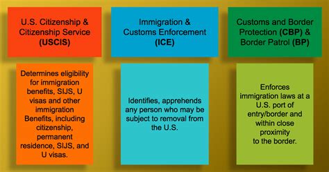 CIS Roles in Immigration Enforcement