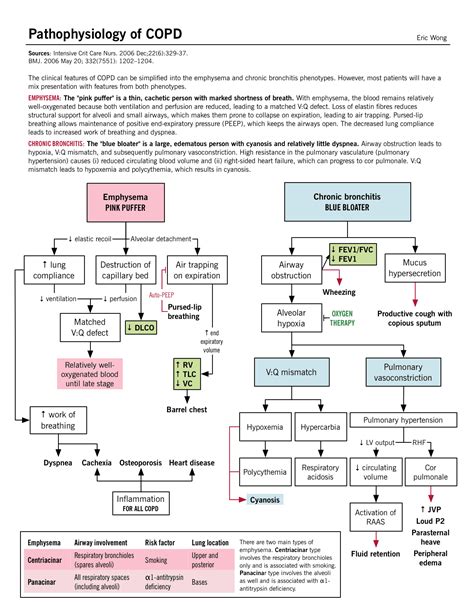 A diagram of the pathophysiology of COPD