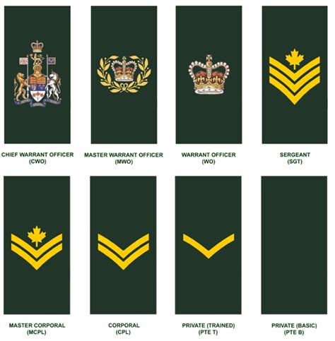 Canadian Army Rank Structure Image 1