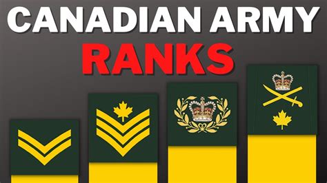 Canadian Military Hierarchy