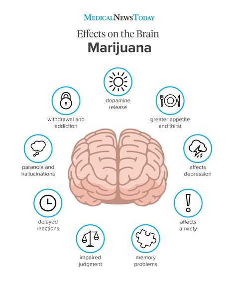 Description of Cannabis Use Effects