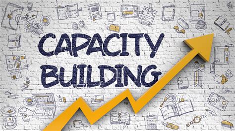 Capacity building initiative