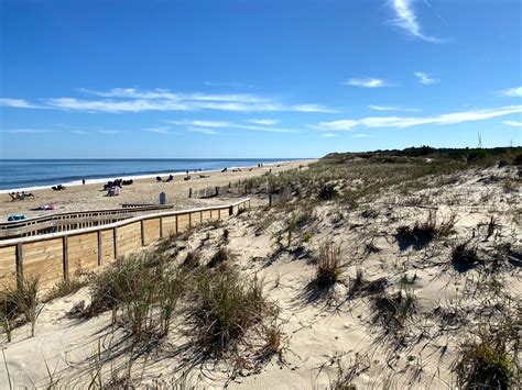 Cape Henlopen State Park