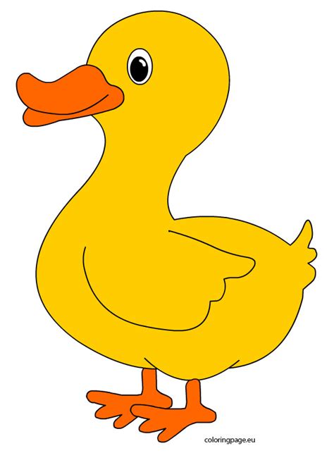 Cartoon Duck Template