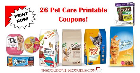 Cat Food Coupons Example