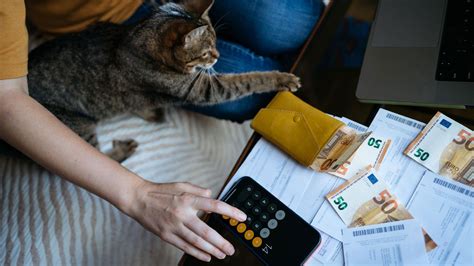 Cat Owner Saving Money