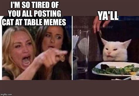 Examples of Cat Table Meme