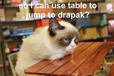 Cat Table Meme Maker