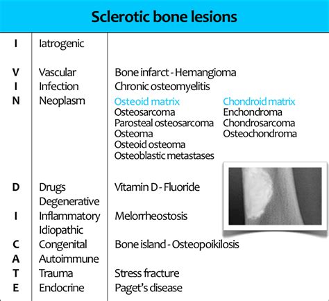 Causes of Destructive Osseous Lesions