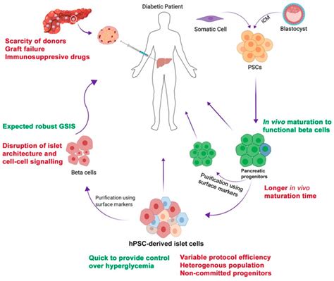 Cell Organelles Therapy