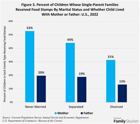 Challenges Facing Food Stamp Recipients