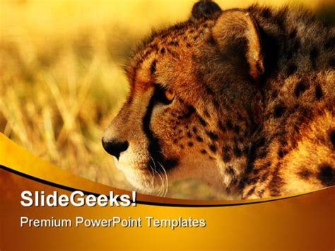 Cheetah PowerPoint Templates Marketing