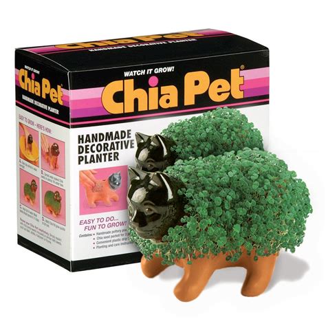 Chia Pets Animals