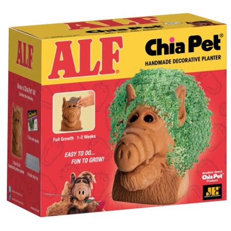 Chia Pets Designs