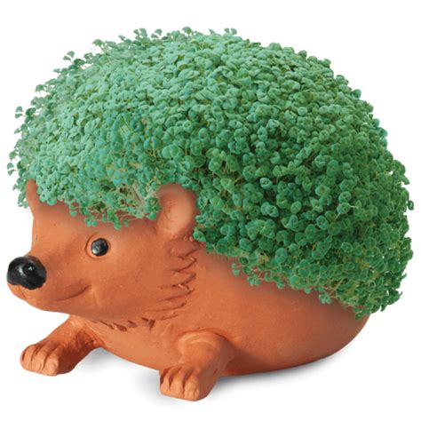 Chia Pets Fictional Characters