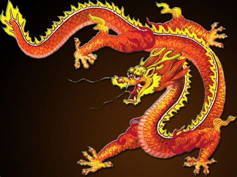 Chinese Dragon Image 5