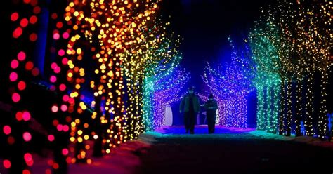 Christmas Light Display In The Springs