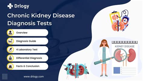 A diagram of the diagnostic tests for chronic kidney disease