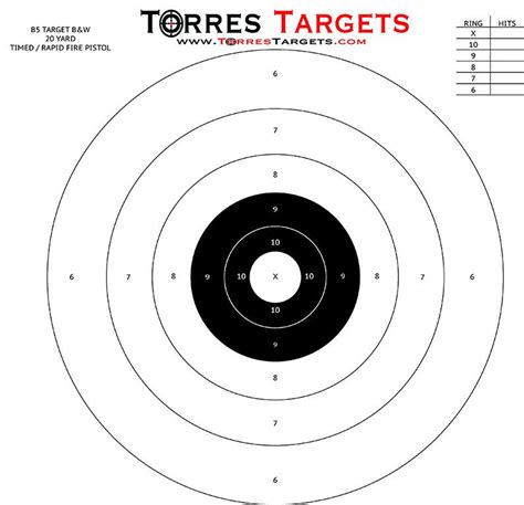 Classic Bullseye Target