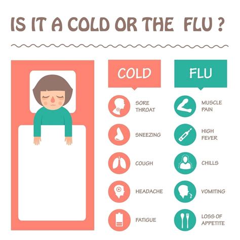 Cold and Flu Symptoms