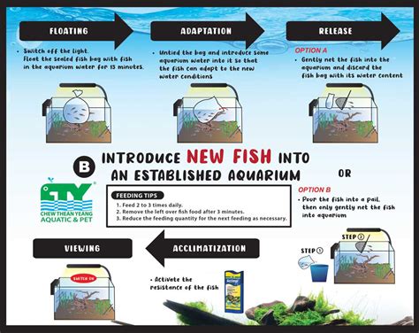 Collaborative fish keeping tips