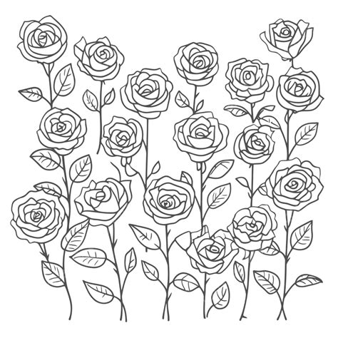 Coloring pages of fresh roses