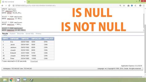 The Consequences of Not Handling Null Date Parameters