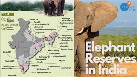 Conservation Efforts in Indian Springs