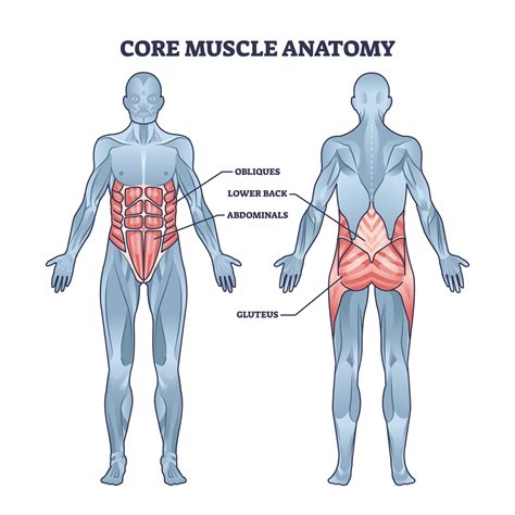 Core Strength Workout