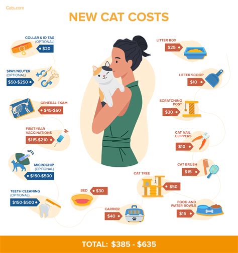 The cost of cat damage can be significant