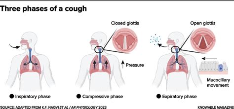 Coughing Mechanism and Abdominal Pain