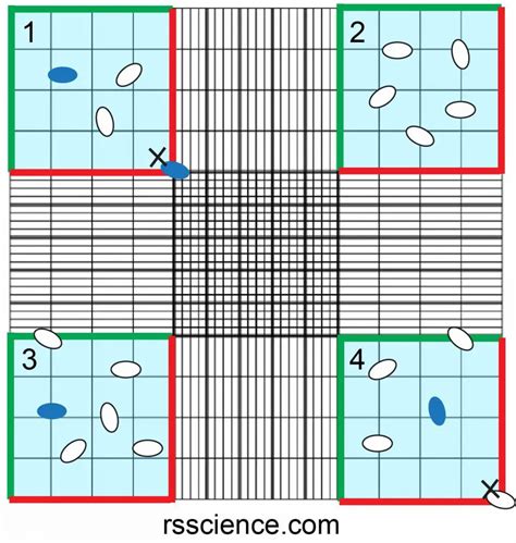 Counting Cells