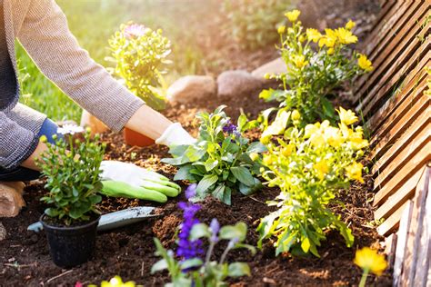 Creating A Sustainable Flower Garden