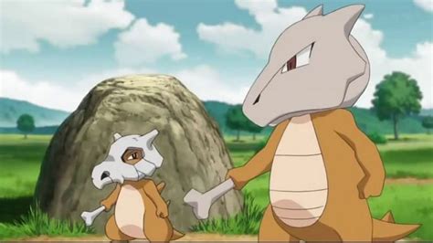 Social Behaviors of Cubone