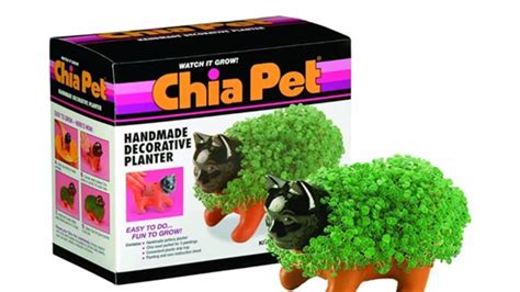 Chia Pets Cultural Impact