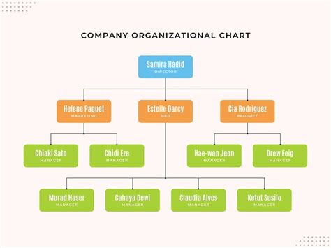 Customizable Organizational Chart