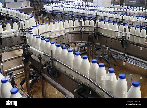 Dairy Industry Photos