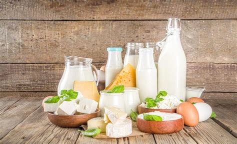 Dairy Products Photos